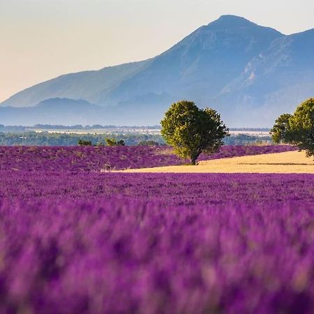 Joli T2 Jardin, Entre Mer/Verdon Salernes Bagian luar foto