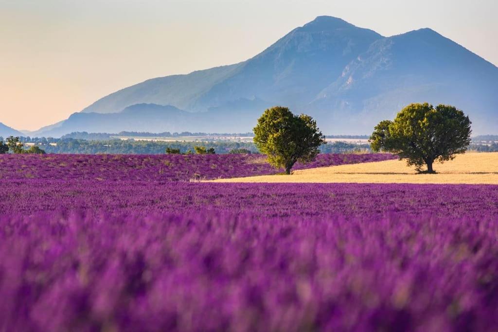Joli T2 Jardin, Entre Mer/Verdon Salernes Bagian luar foto